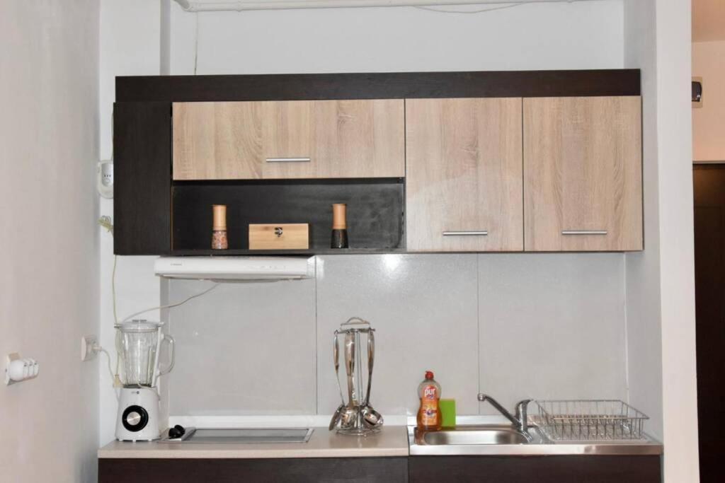 Pricop Residence Baia Mare Luaran gambar